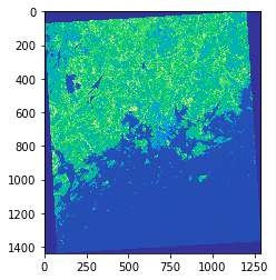 ../../_images/raster-map-algebra_3_1.png