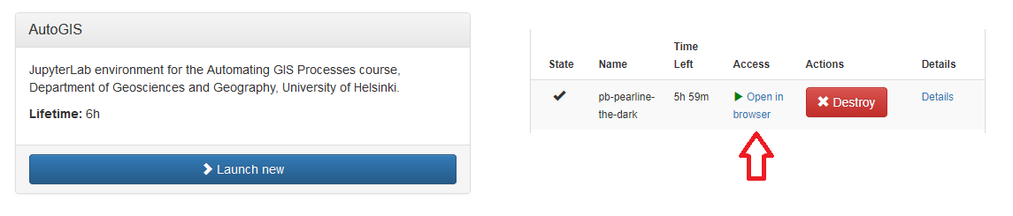 Launch new Jupyter Lab instance