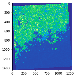../../_images/raster-map-algebra_3_1.png